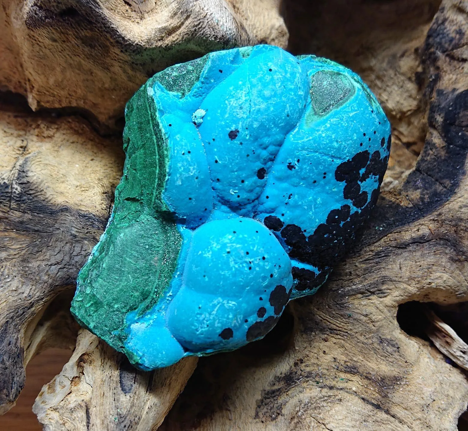 Chryzokola na malachicie okaz (267 g) (surowy)