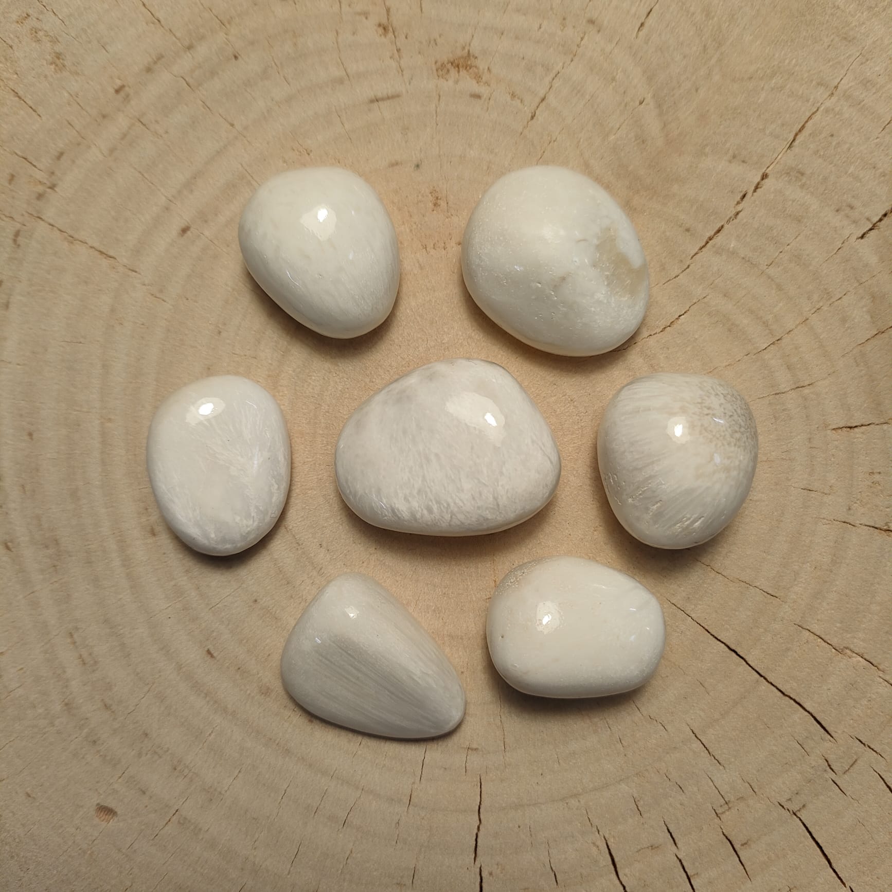 Skolecyt (polerowany)