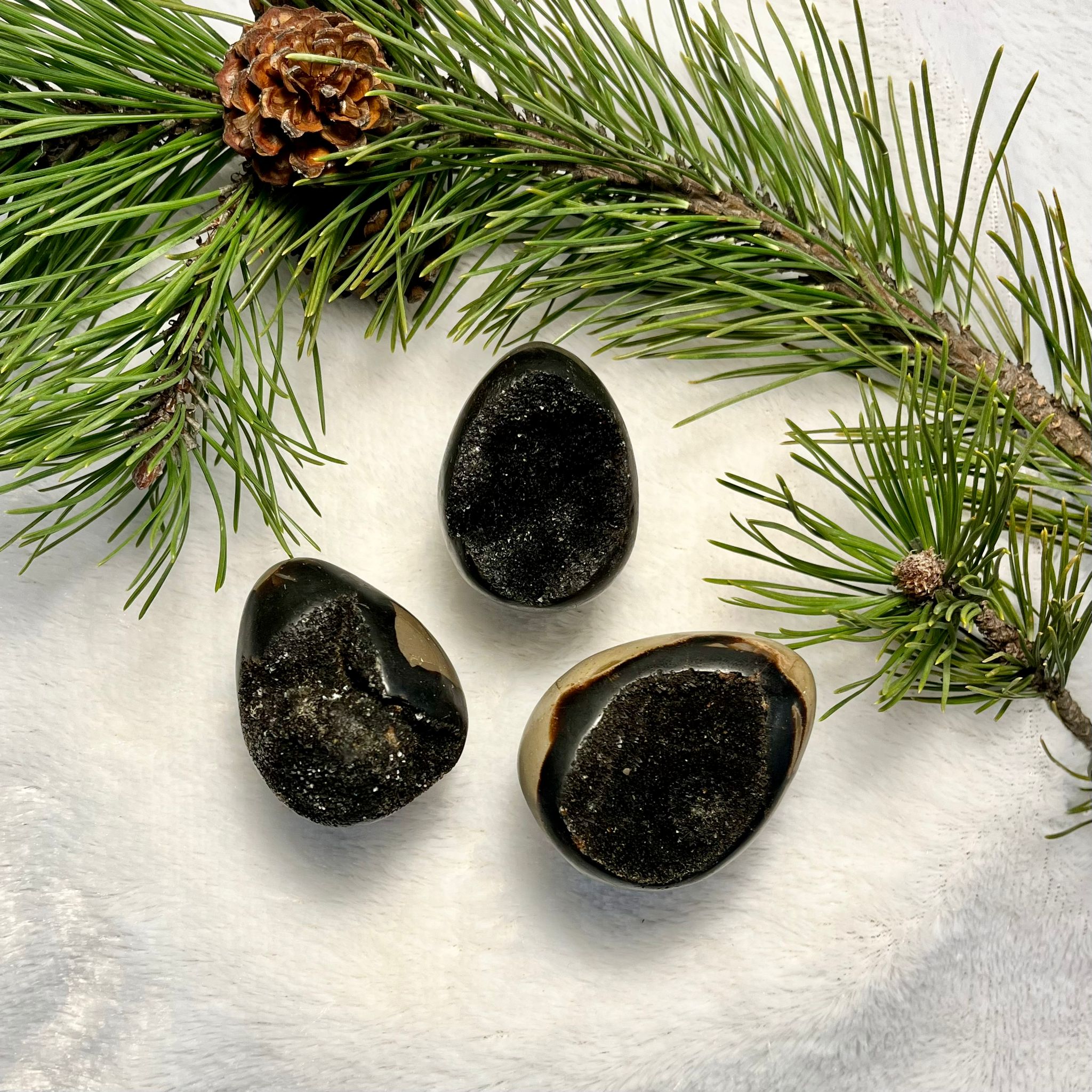 Septaria „Smocze jajo”