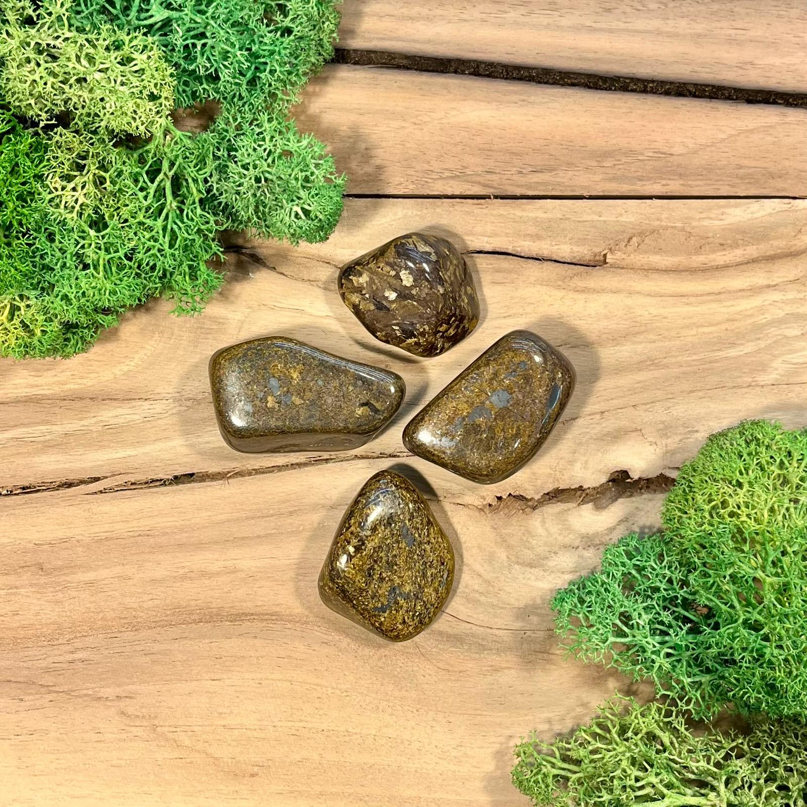 Bronzyt (polerowany)