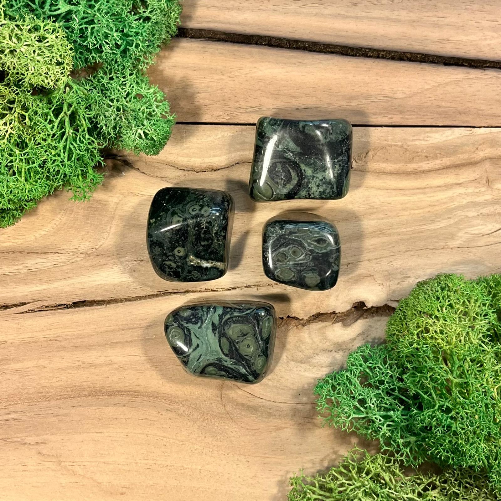 Jaspis kambaba [2] (polerowany)