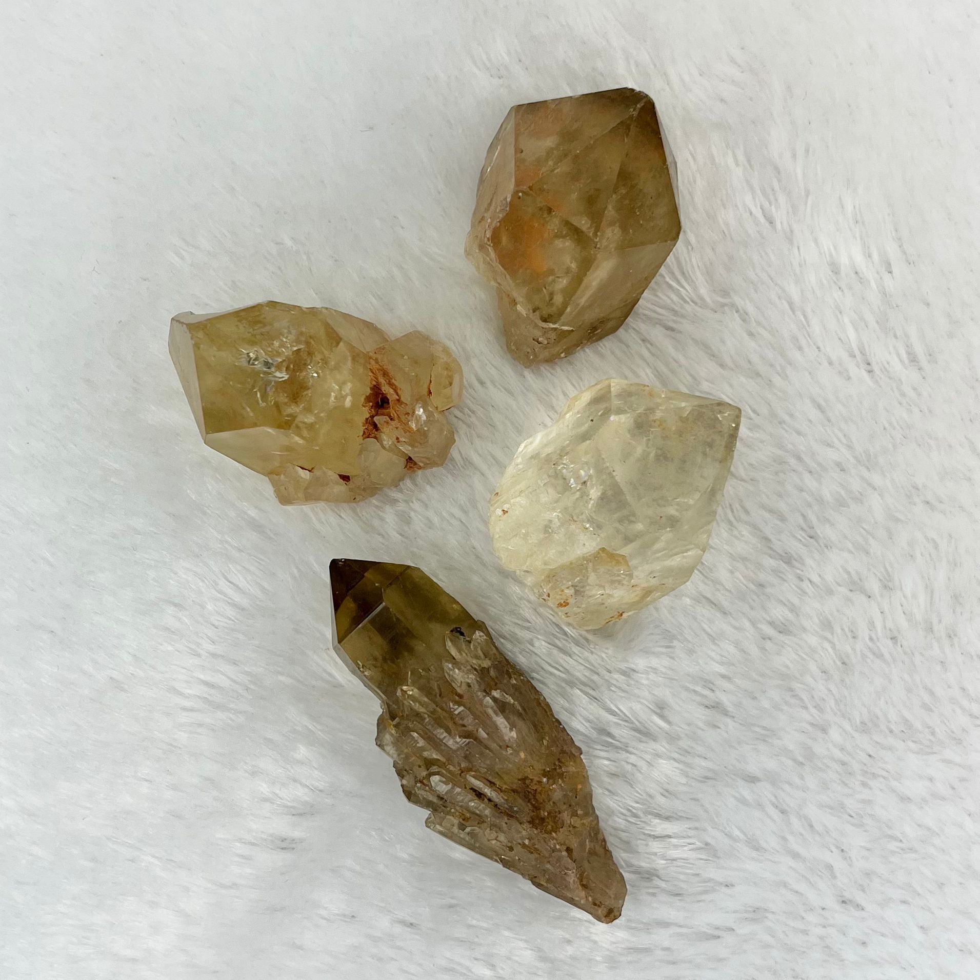 Cytryn okaz kolekcjonerski (surowy)