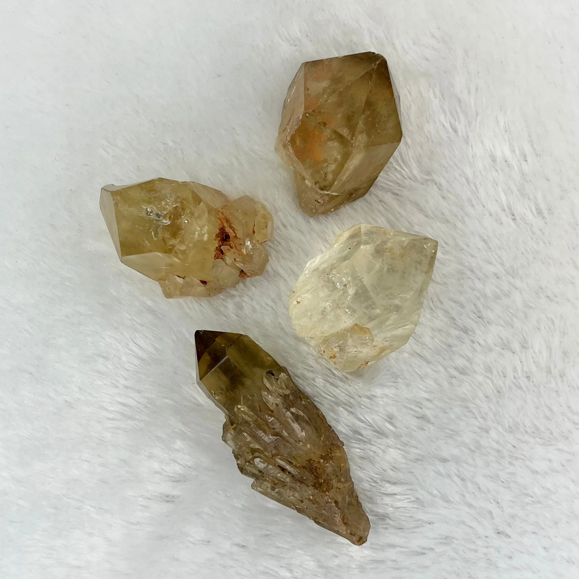 Cytryn okaz kolekcjonerski (surowy)