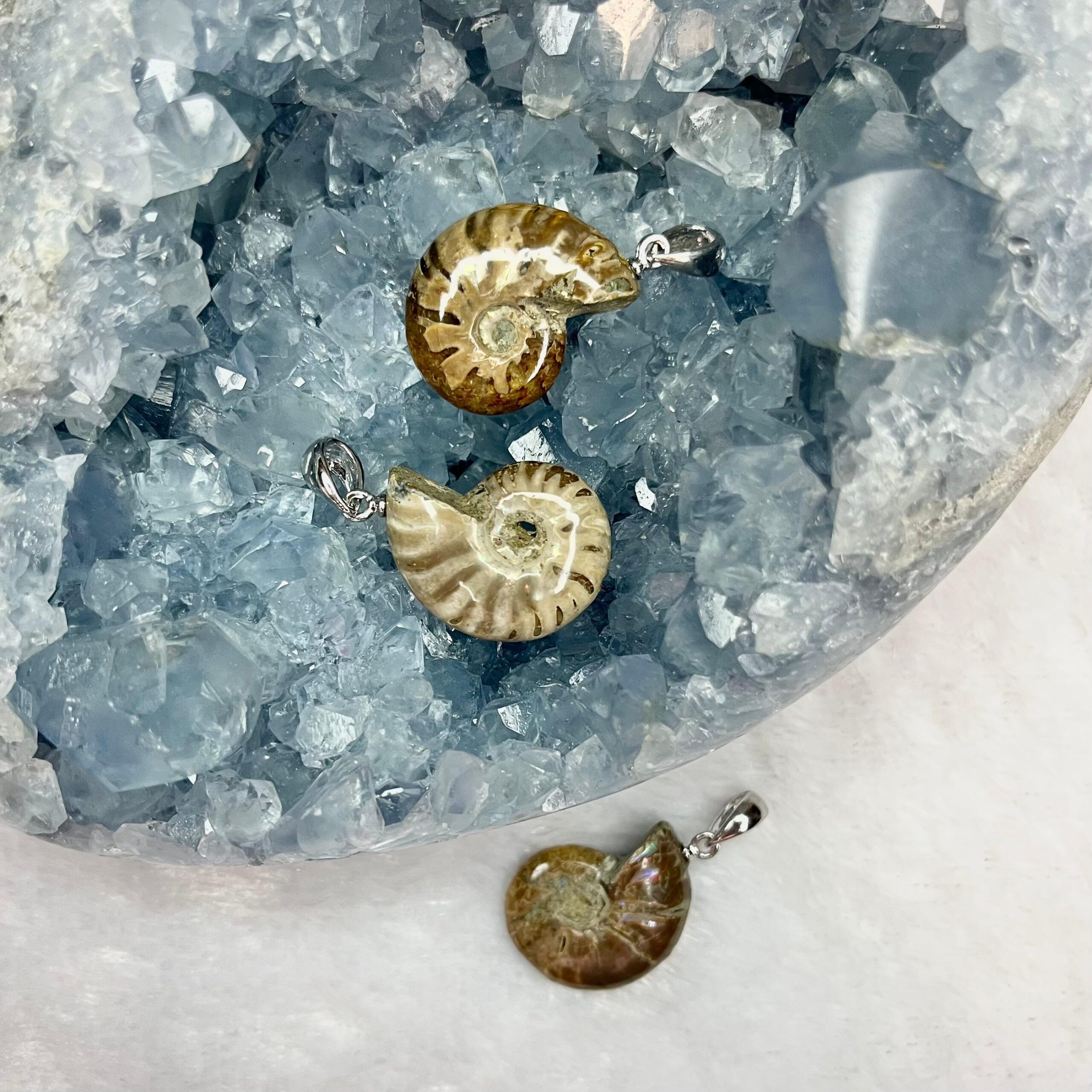 Zawieszka „Amonit” [2]