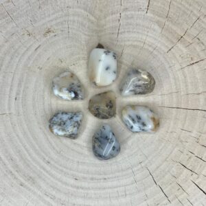 Opal dendrytowy (polerowany)