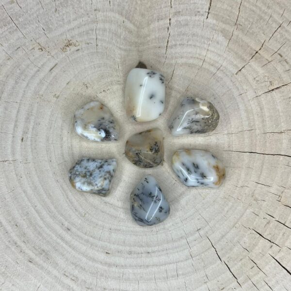 Opal dendrytowy (polerowany)