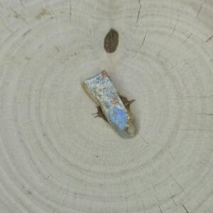 Opal grey okaz - 1