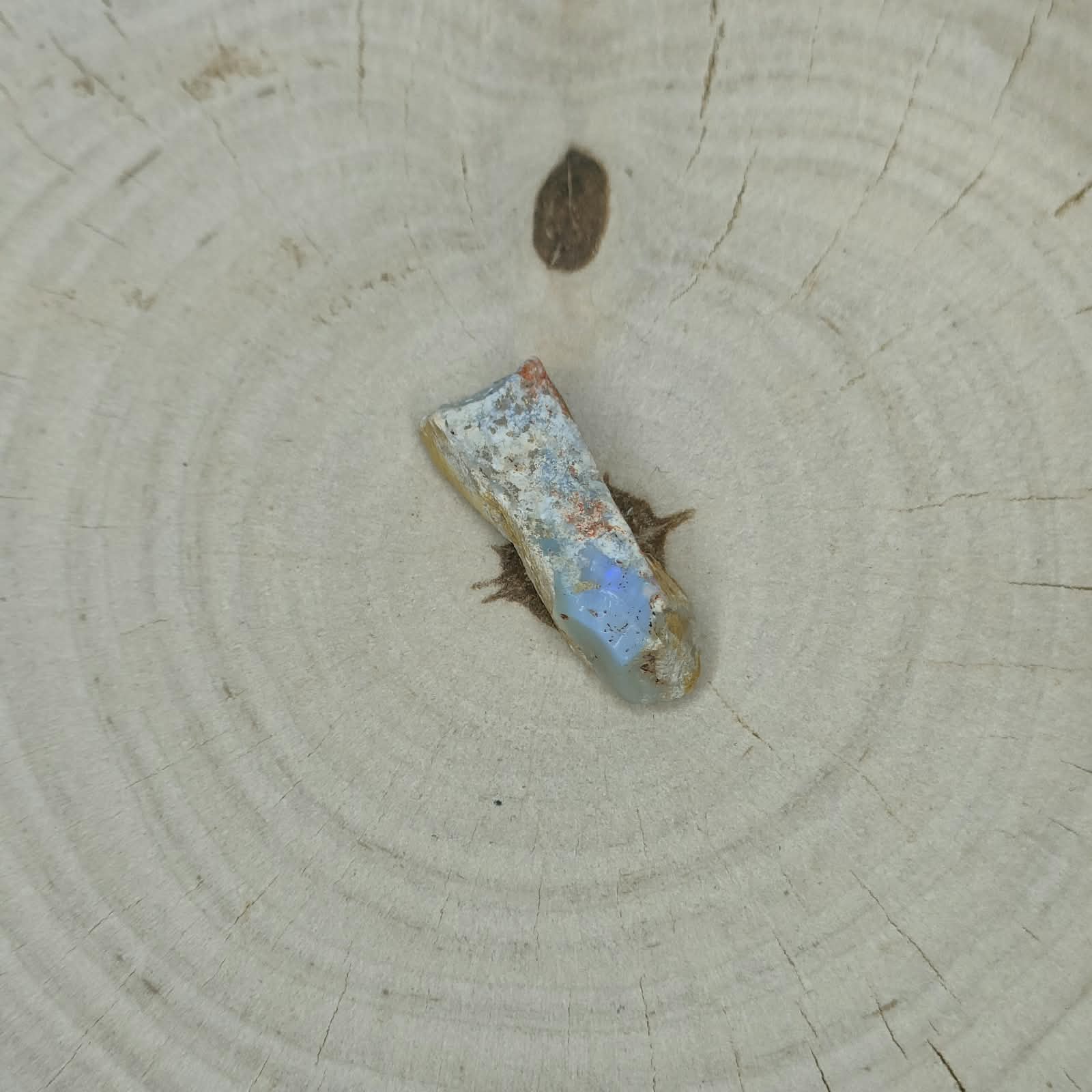 Opal grey okaz