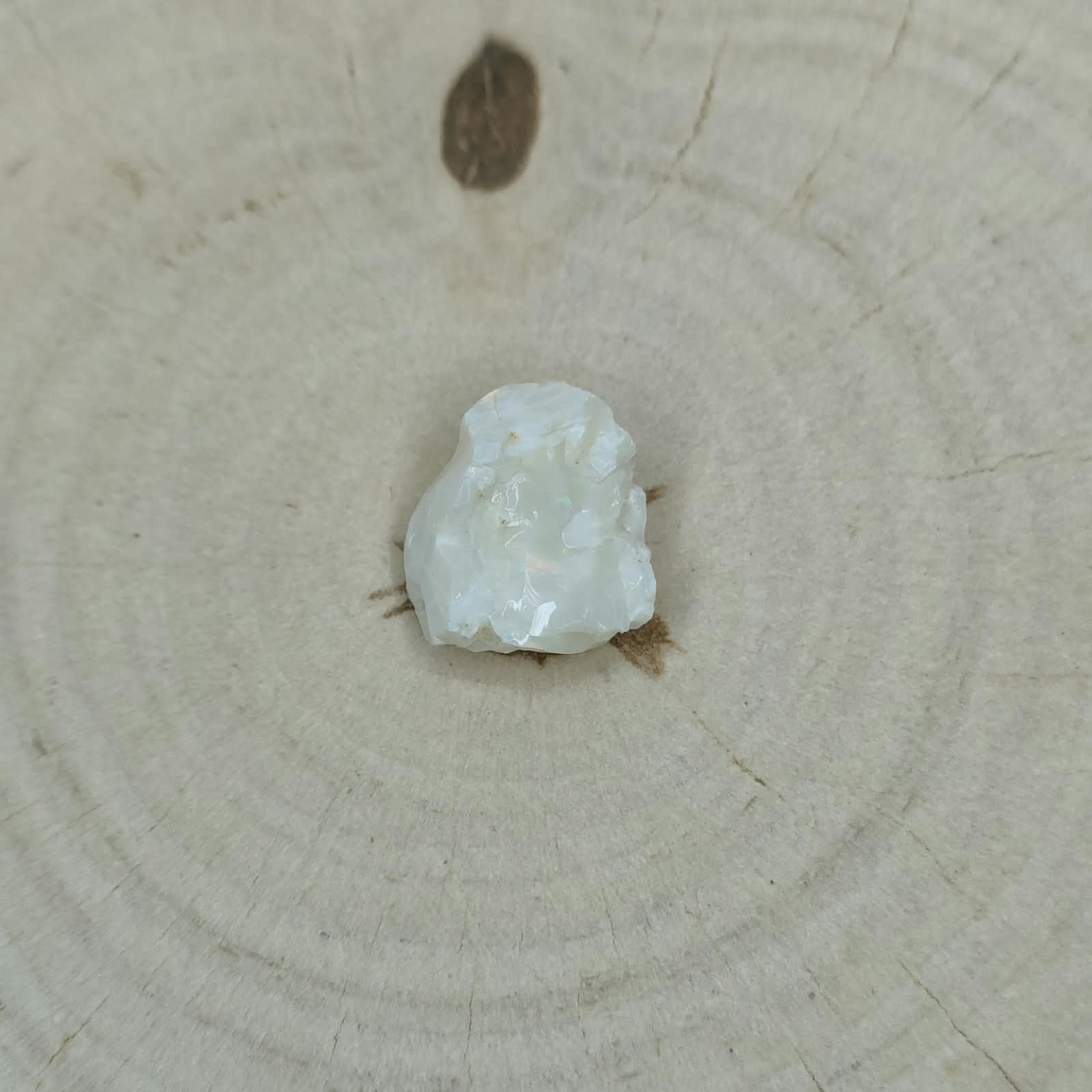 Opal milk okaz