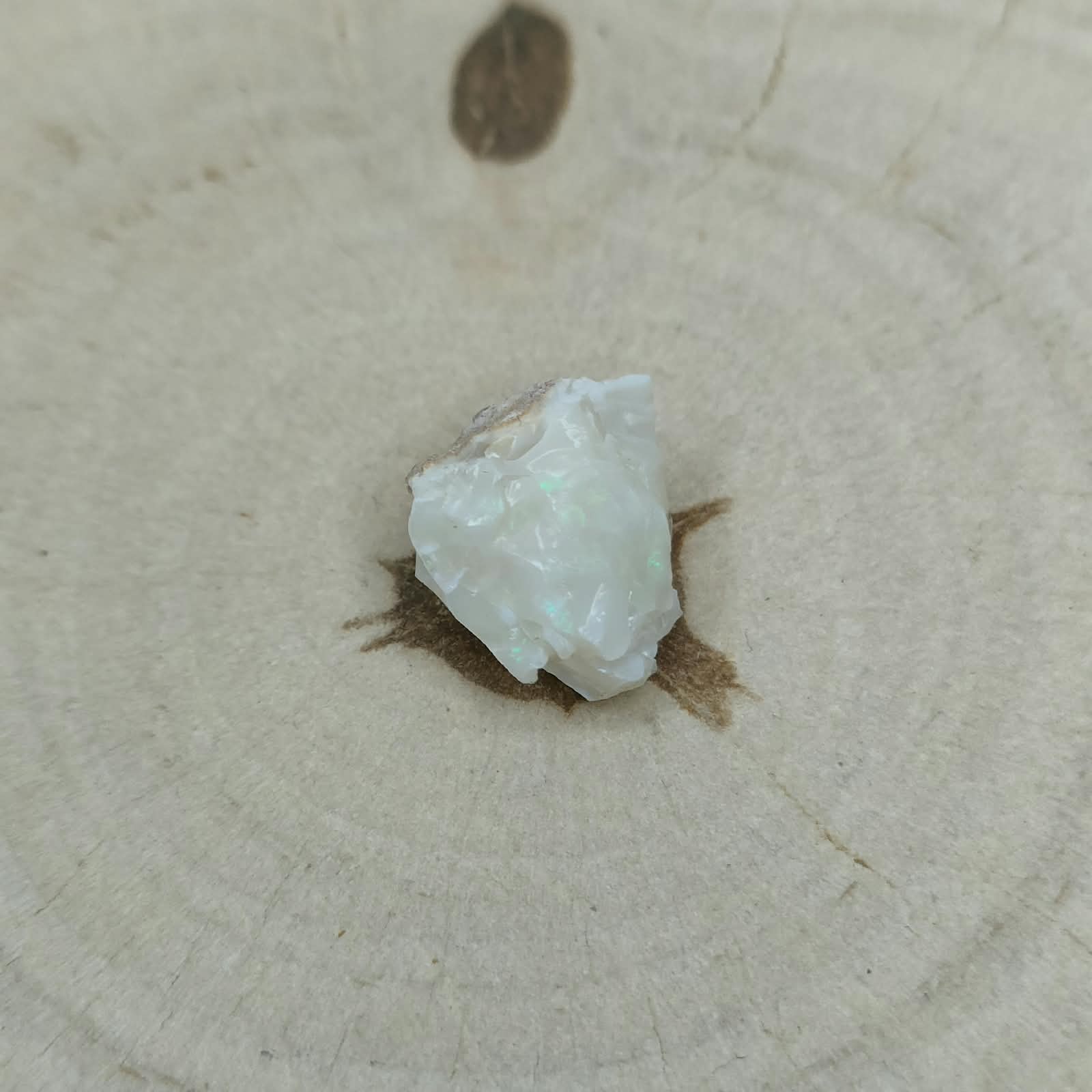 Opal milk okaz